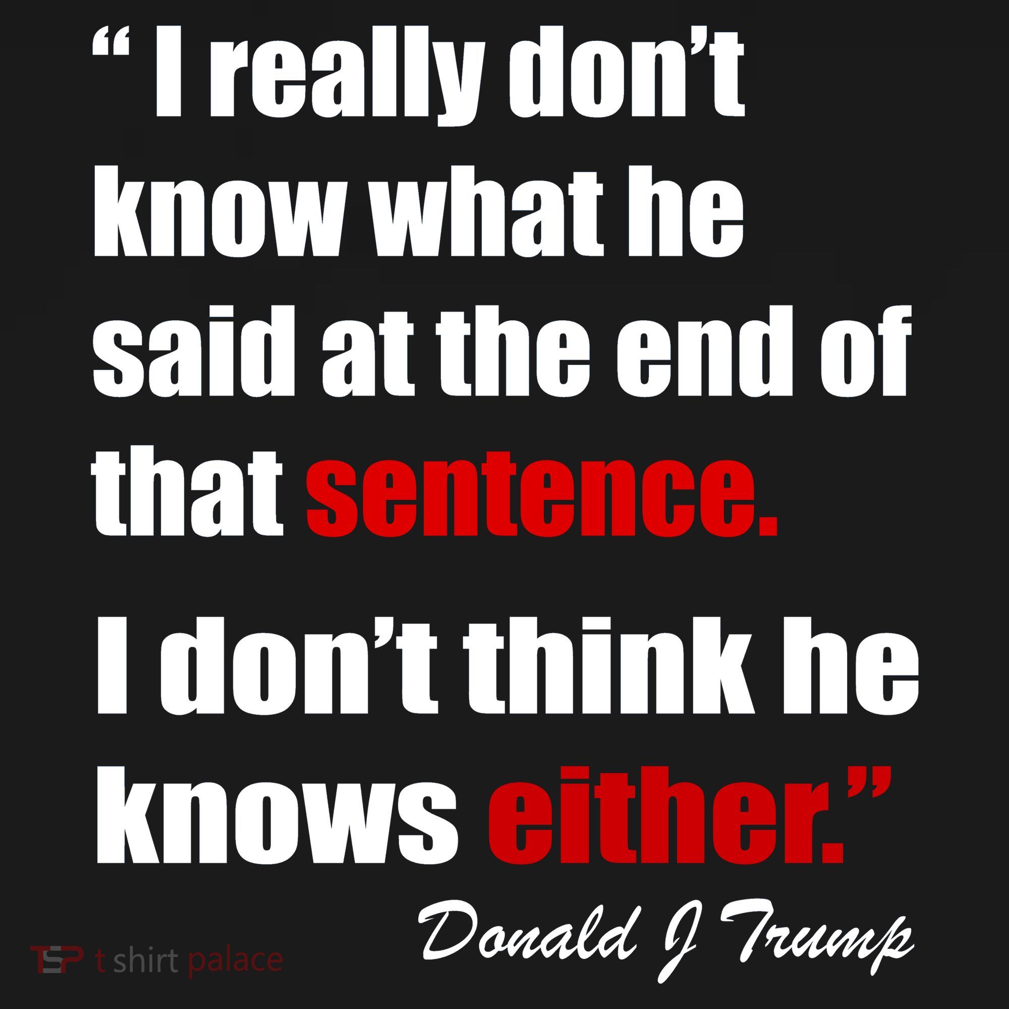 Donald Trump Dont Know What He Said At The End Of That Sentence Toddler Hoodie