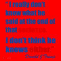 Donald Trump Dont Know What He Said At The End Of That Sentence Santa Hat thumb 1