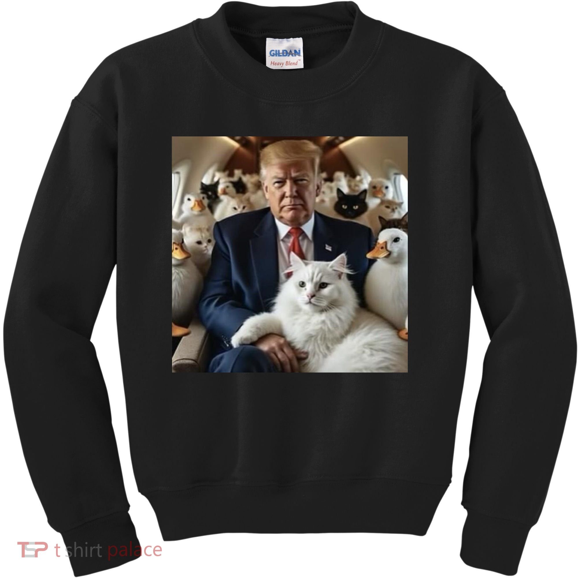 Donald Trump Duck Cat Vote 2024 Kids Sweatshirt