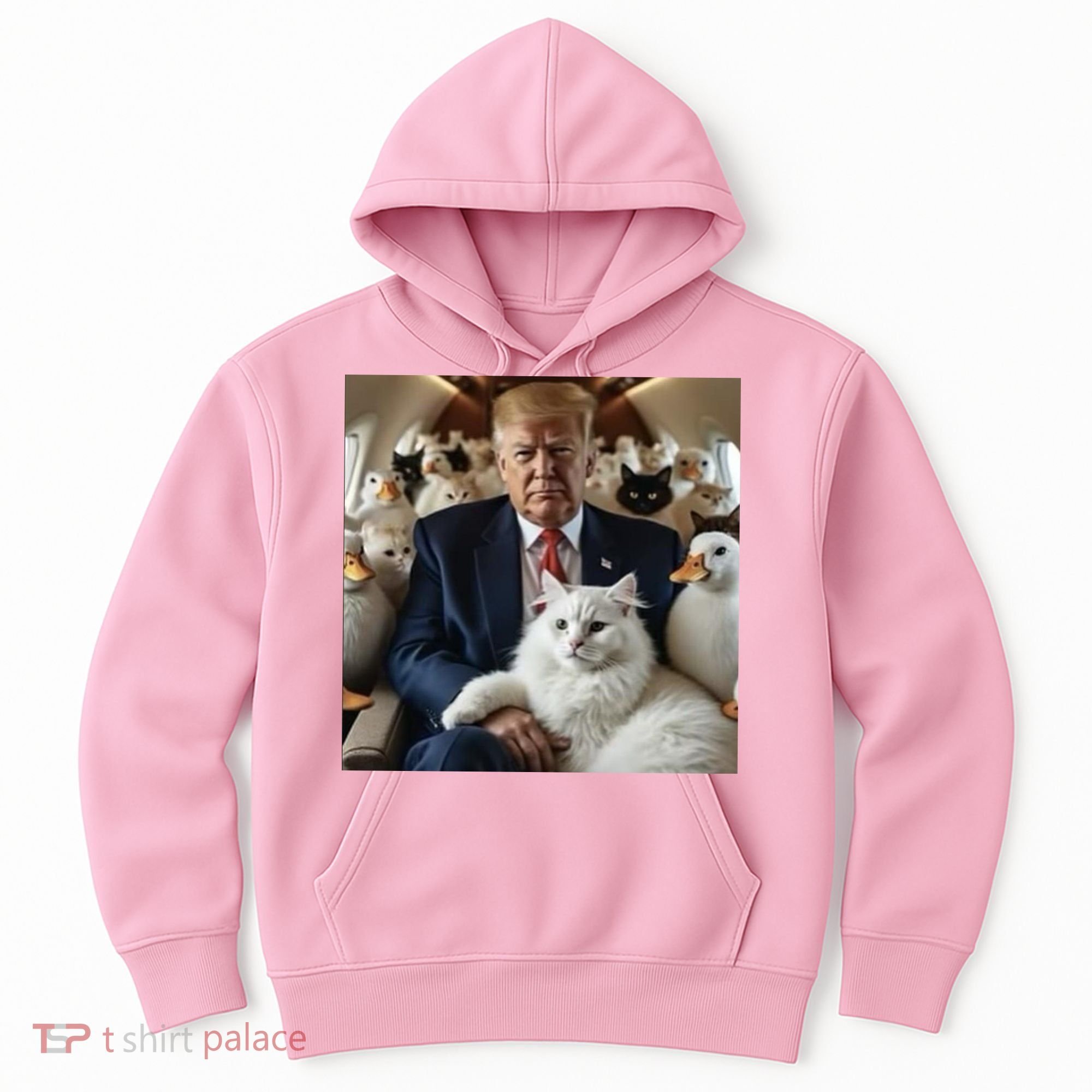Donald Trump Duck Cat Vote 2024 Hoodie