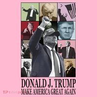 Donald Trump Era Coaster thumb 2