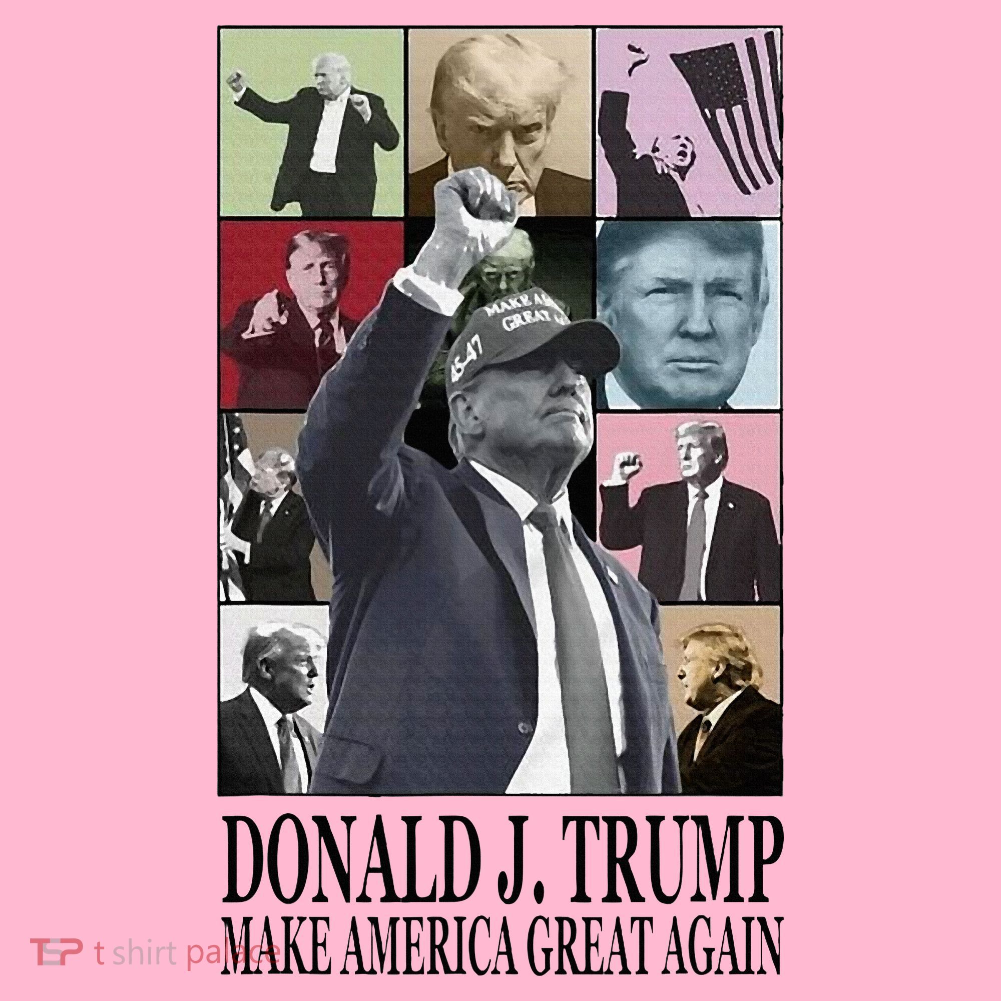 Donald Trump Era Coaster