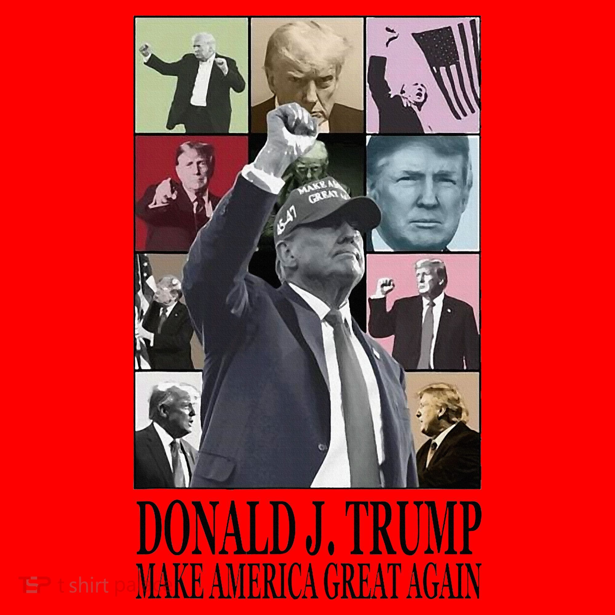 Donald Trump Era Santa Hat