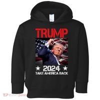 Donald Trump Fist Pump Take America Back 2024 Usa Toddler Hoodie thumb 0