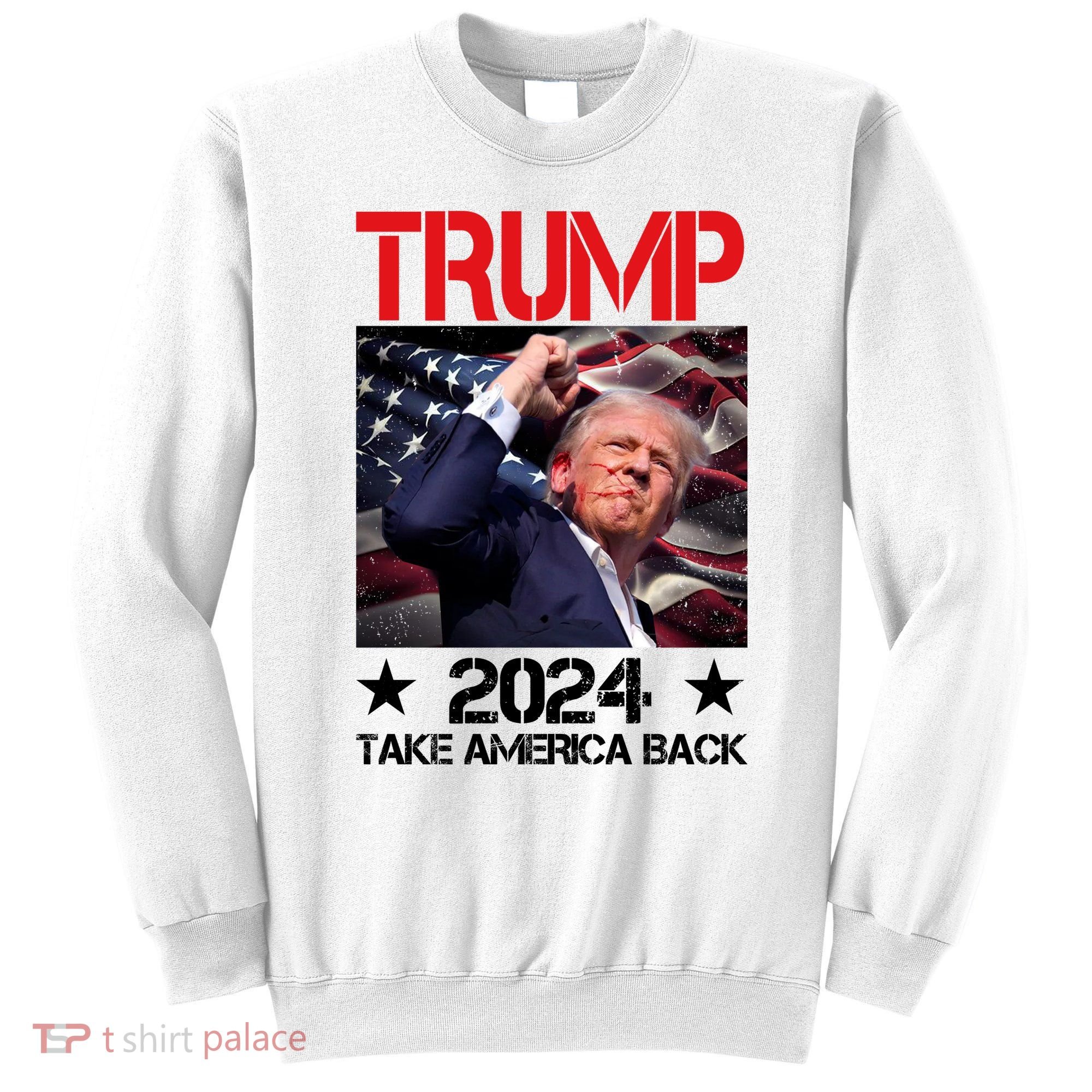 Donald Trump Fist Pump Take America Back 2024 Usa Sweatshirt
