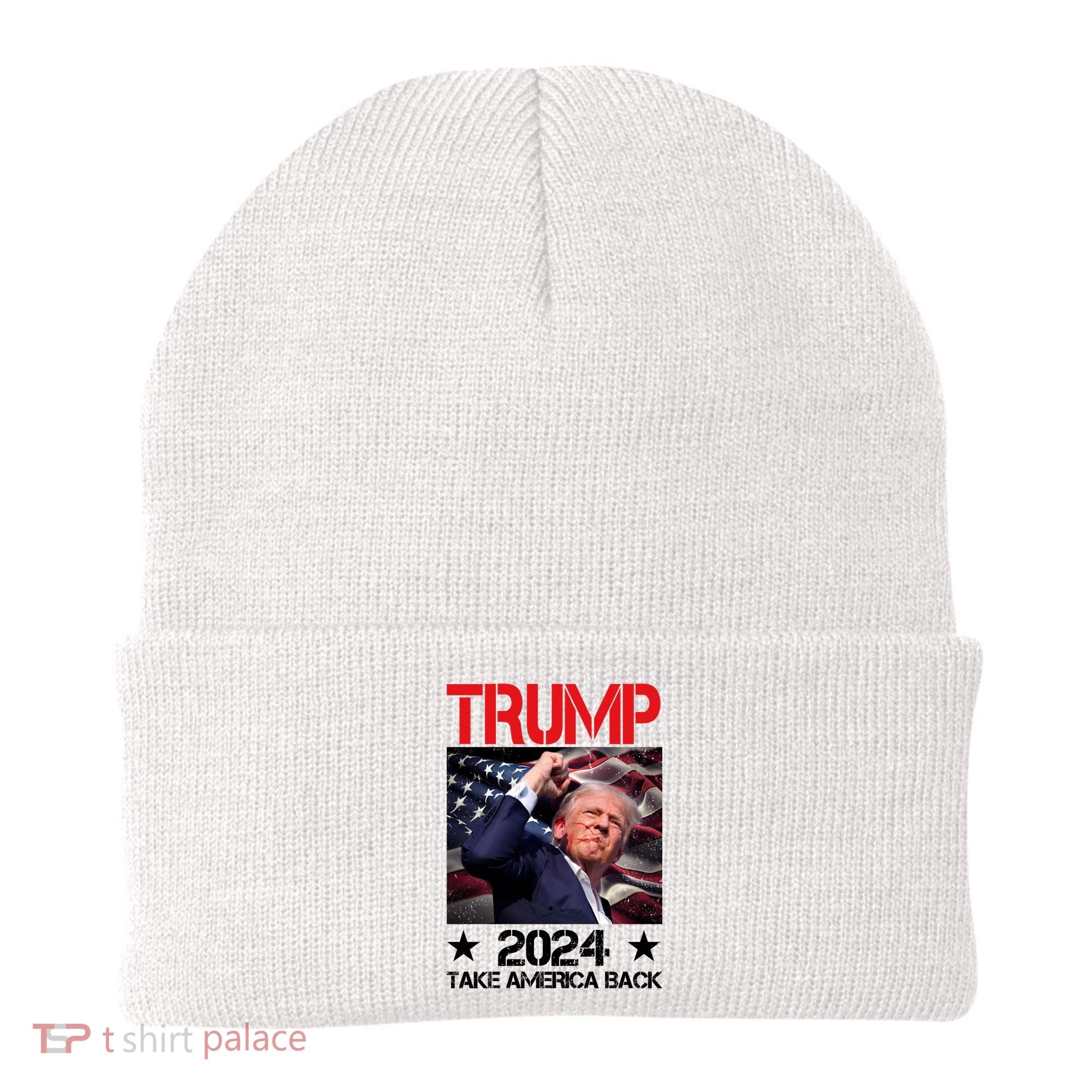 Donald Trump Fist Pump Take America Back 2024 Usa Beanie