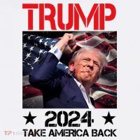Donald Trump Fist Pump Take America Back 2024 Usa Beanie thumb 2