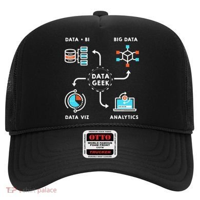 Data Tshirt For Data Scientists, Analysts And Engineers TShirt Hat