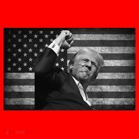 Donald Trump Fight For Freedom Santa Hat thumb 1
