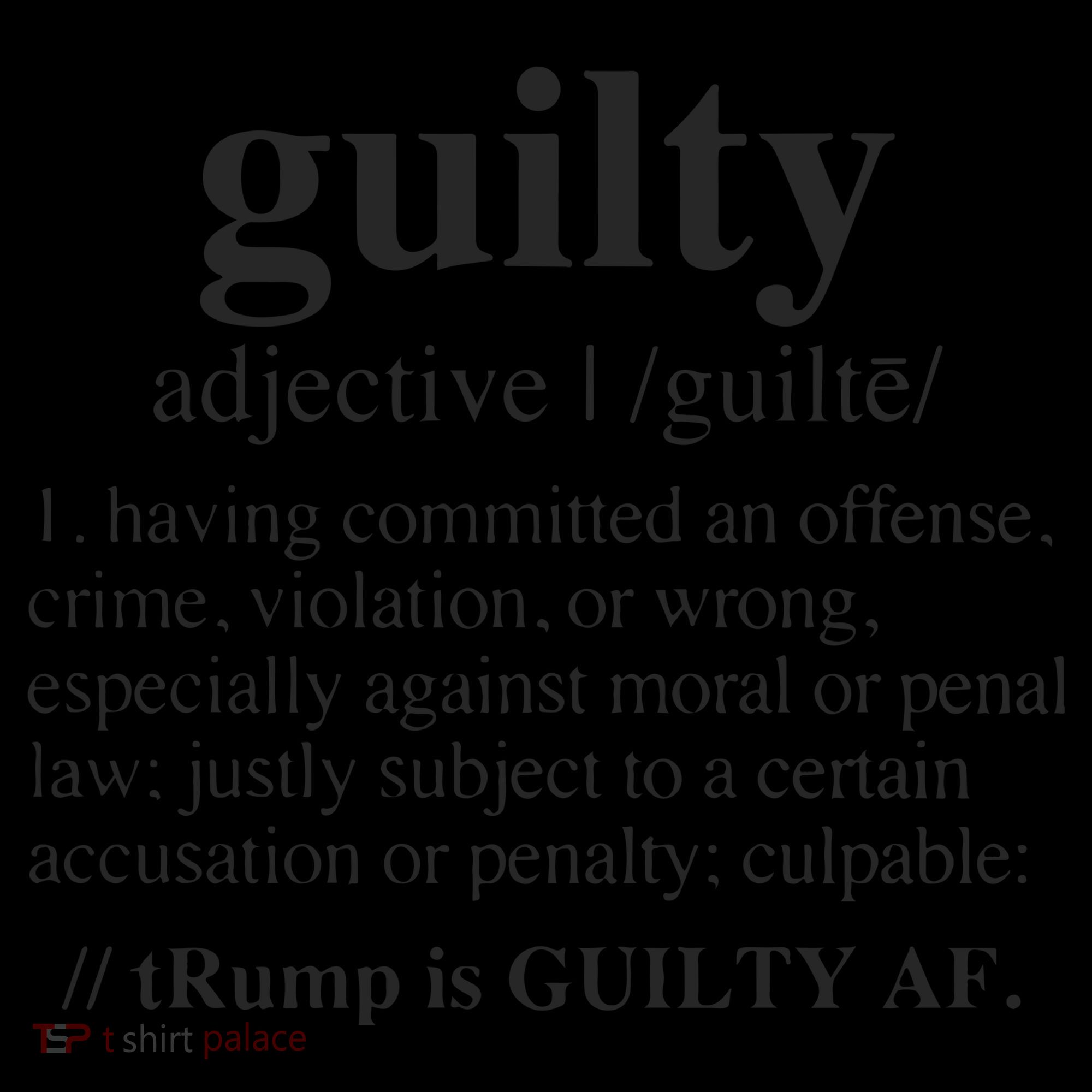 Donald Trump Guilty Definition Felony Coffee Mug