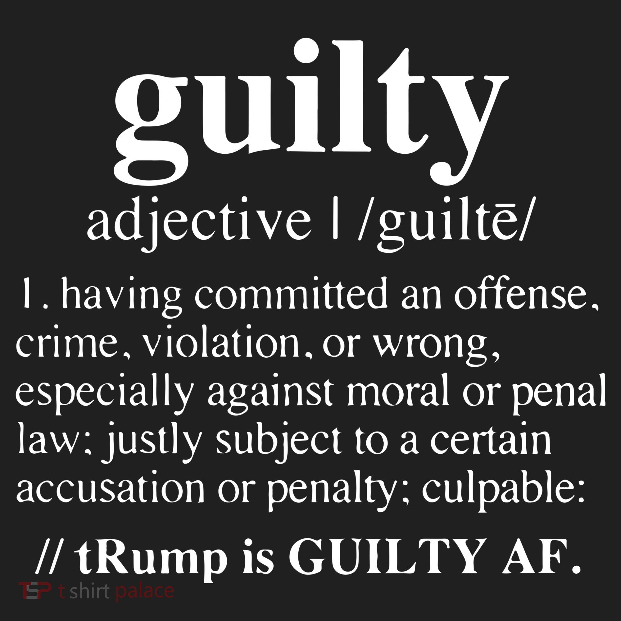 Donald Trump Guilty Definition Felony Beanie