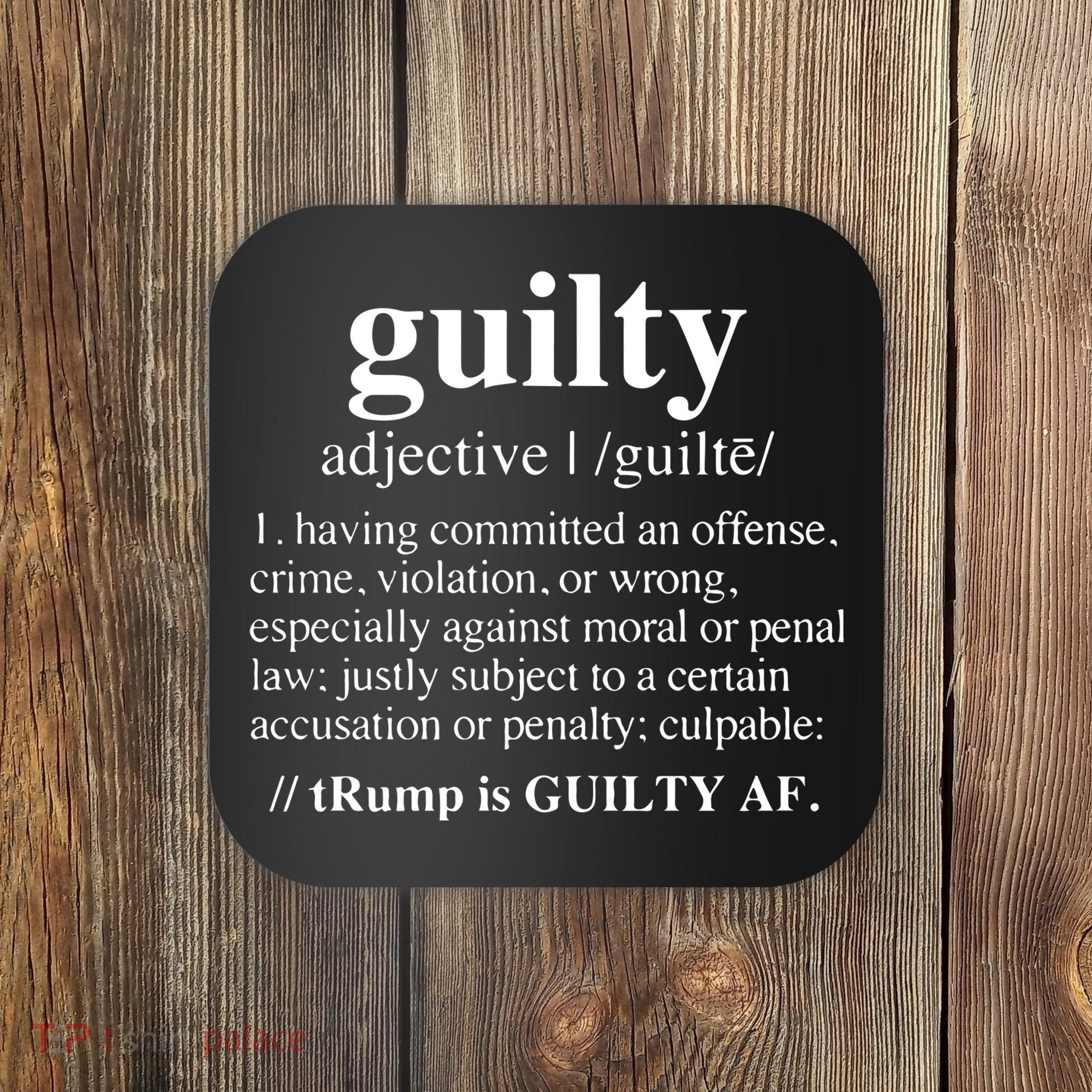 Donald Trump Guilty Definition Felony Coaster
