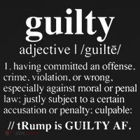 Donald Trump Guilty Definition Felony Mousepad thumb 1