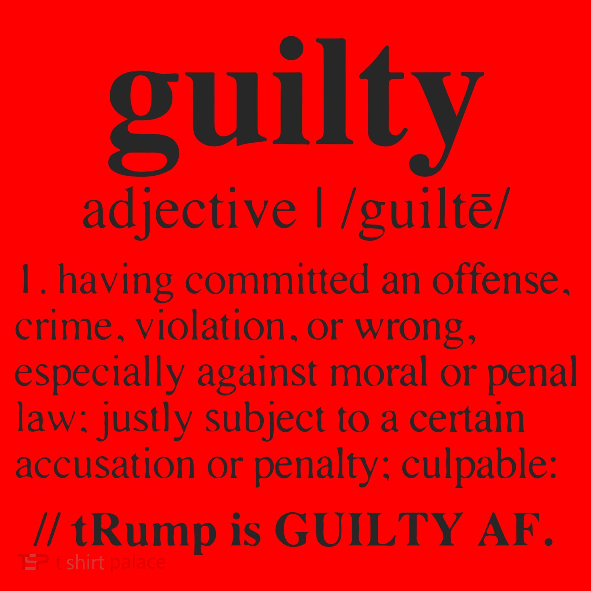 Donald Trump Guilty Definition Felony Santa Hat