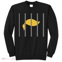 Donald Trump Impeach Anti Trump Behind Bars Sweatshirt thumb 0