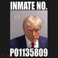 Donald Trump Inmate Number Mugshot Tote Bag thumb 4