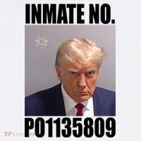 Donald Trump Inmate Number Mugshot T-Shirt thumb 7