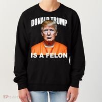 Donald Trump Is A Felon Women's Sweatshirt thumb 0