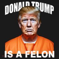 Donald Trump Is A Felon USA-Made Doggie Bandana thumb 2