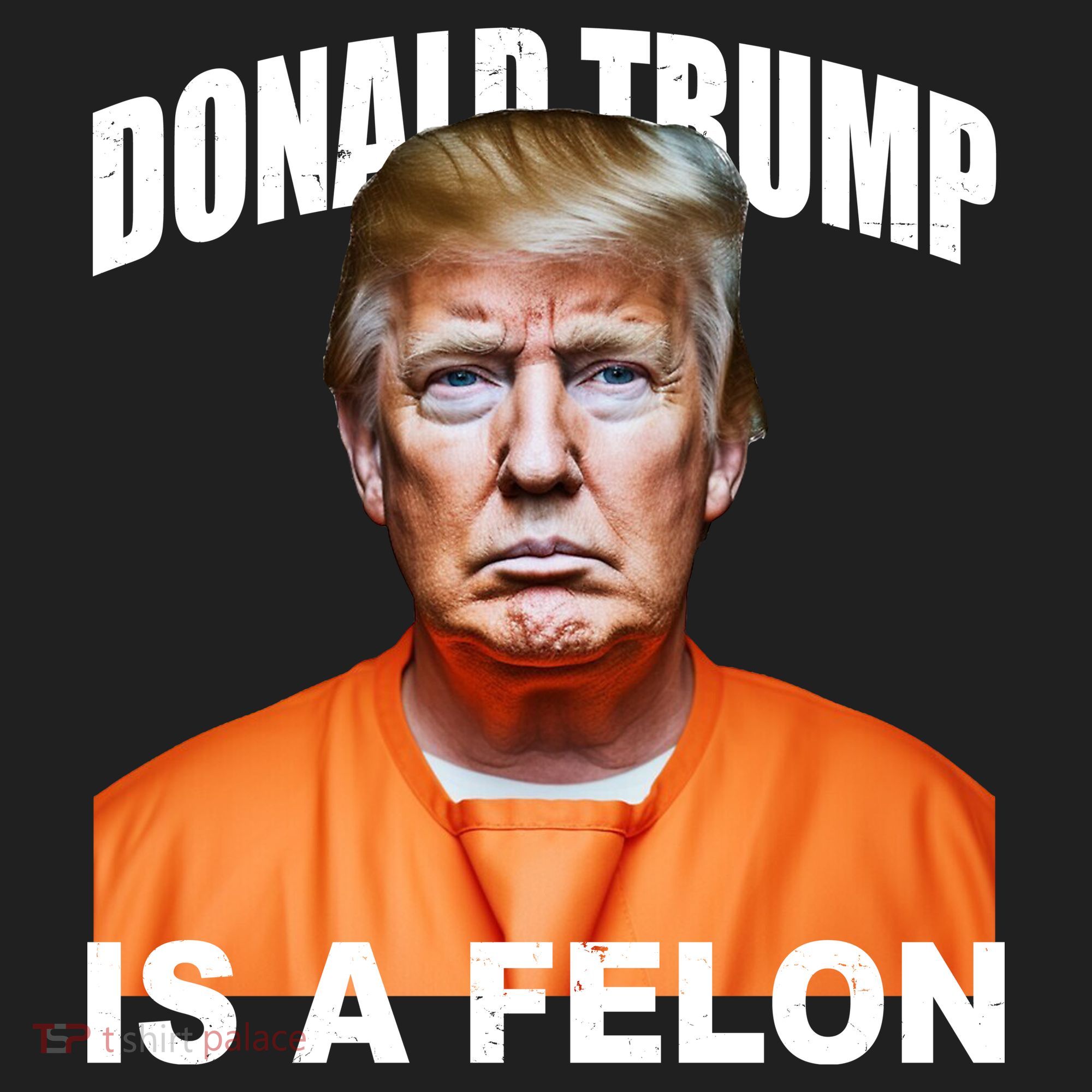 Donald Trump Is A Felon Beanie