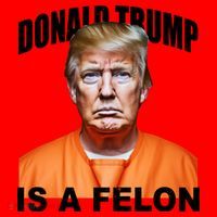 Donald Trump Is A Felon Santa Hat thumb 1
