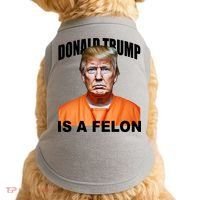 Donald Trump Is A Felon Doggie Tank thumb 0