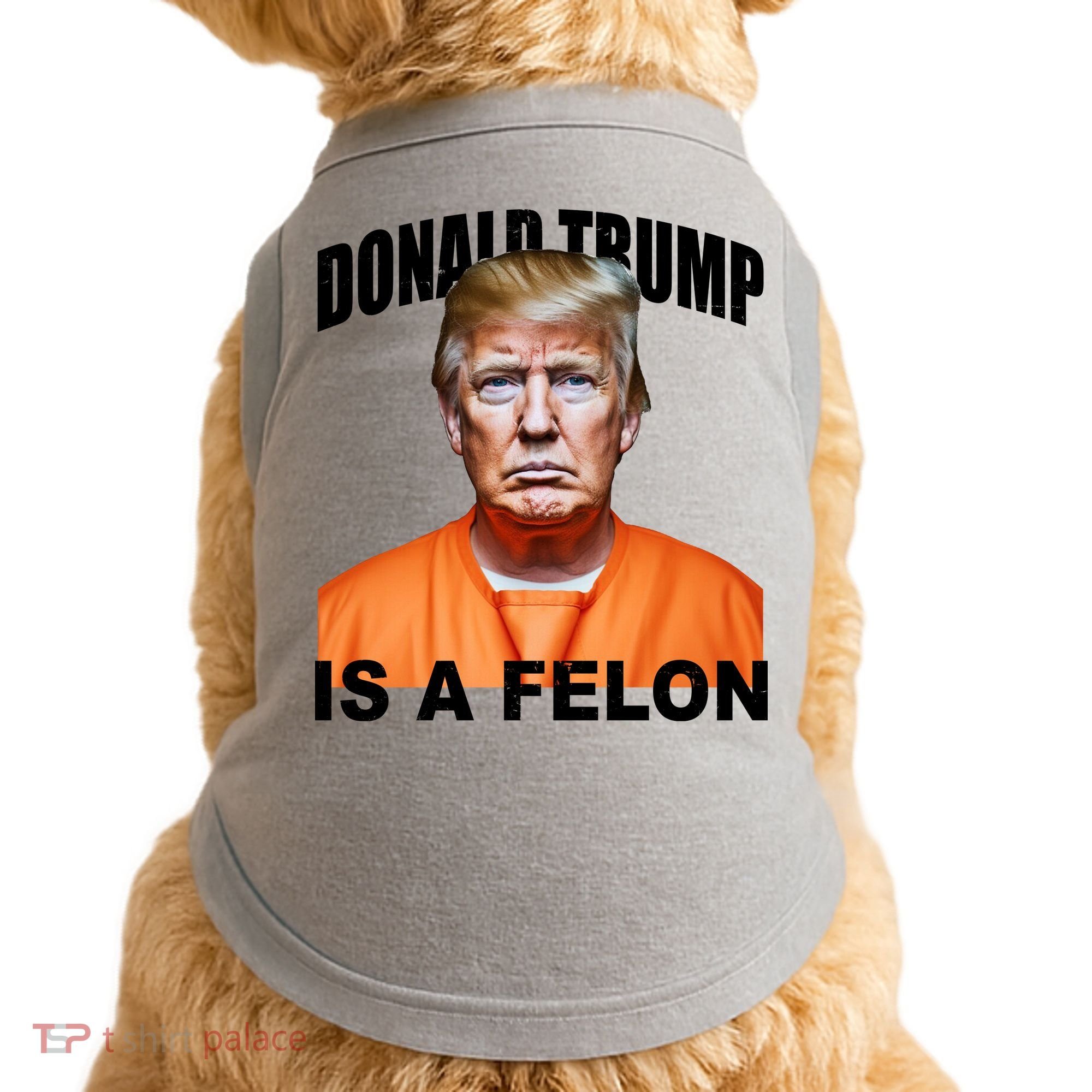 Donald Trump Is A Felon Doggie Tank