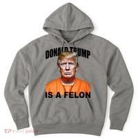Donald Trump Is A Felon Hoodie thumb 0