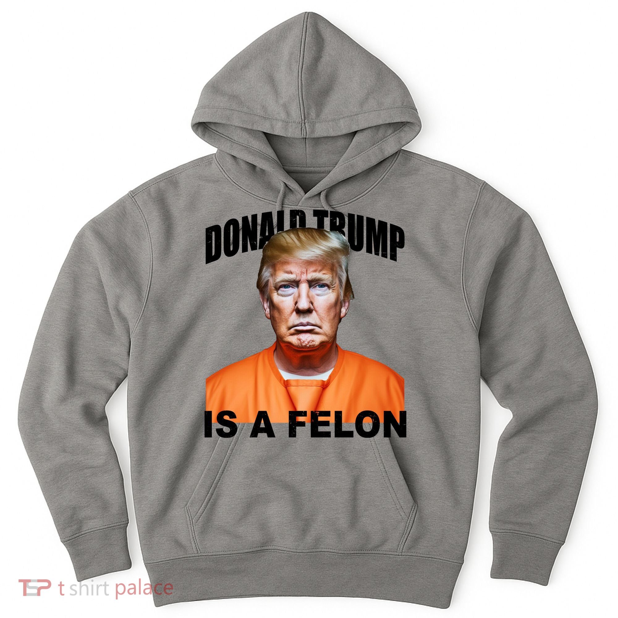 Donald Trump Is A Felon Hoodie