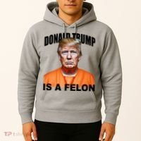 Donald Trump Is A Felon Hoodie thumb 2