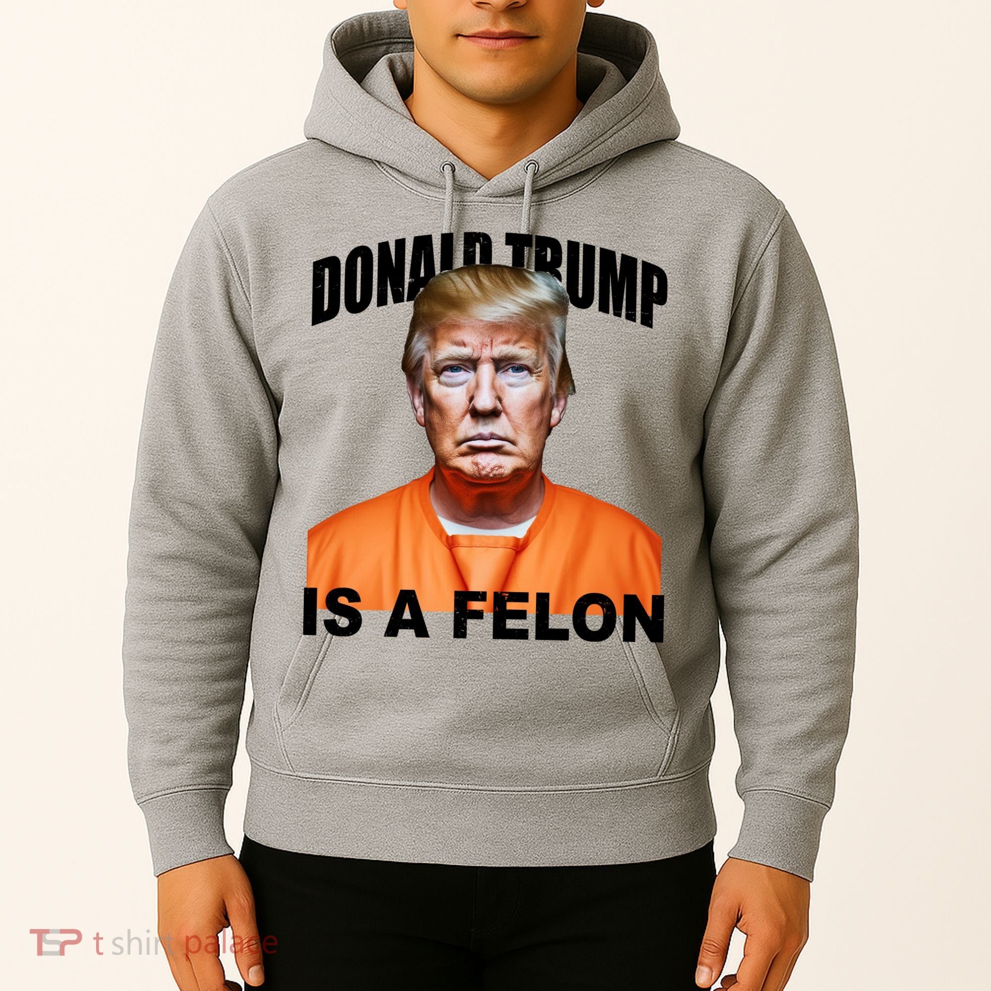 Donald Trump Is A Felon Hoodie