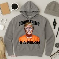 Donald Trump Is A Felon Hoodie thumb 3