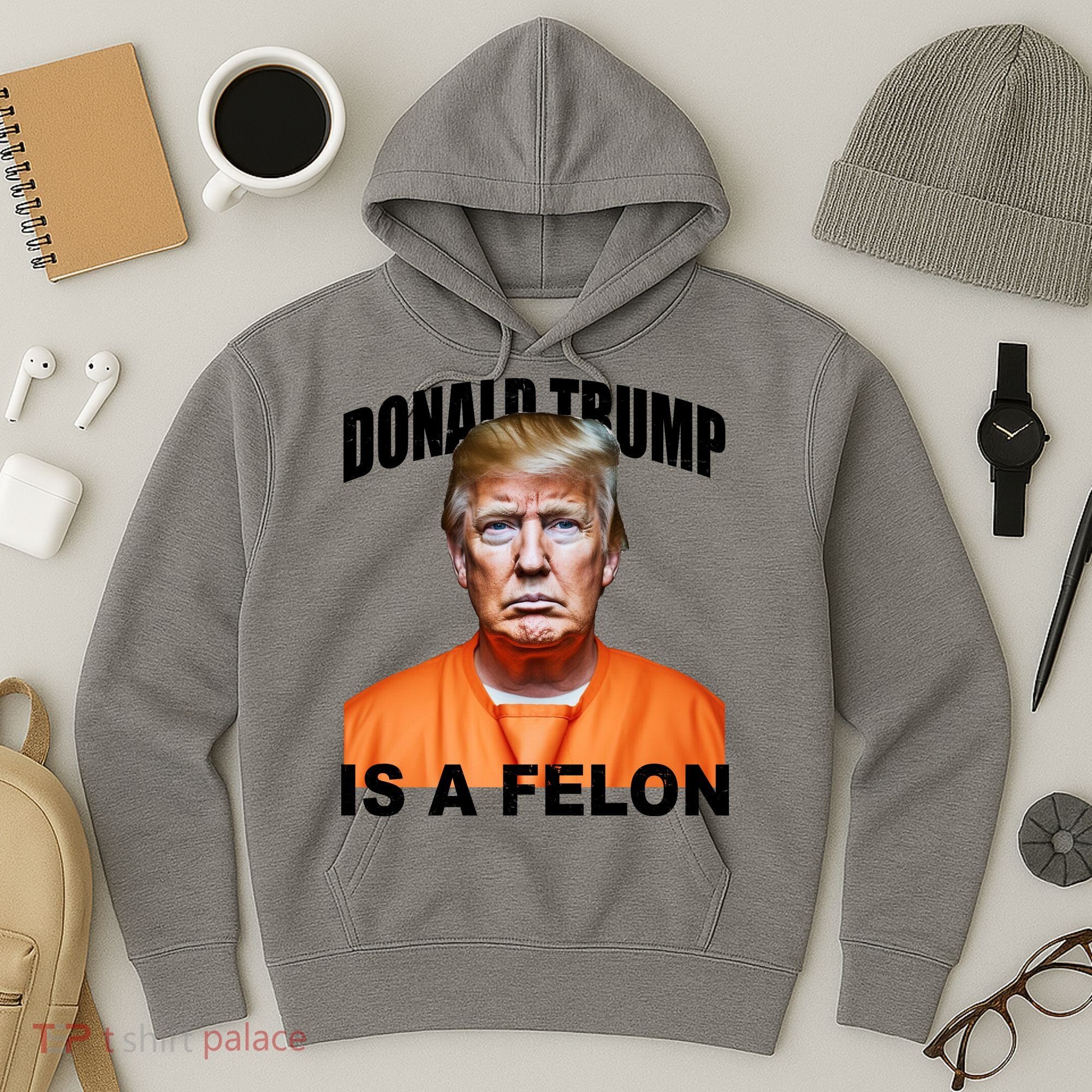 Donald Trump Is A Felon Hoodie