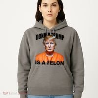 Donald Trump Is A Felon Hoodie thumb 5