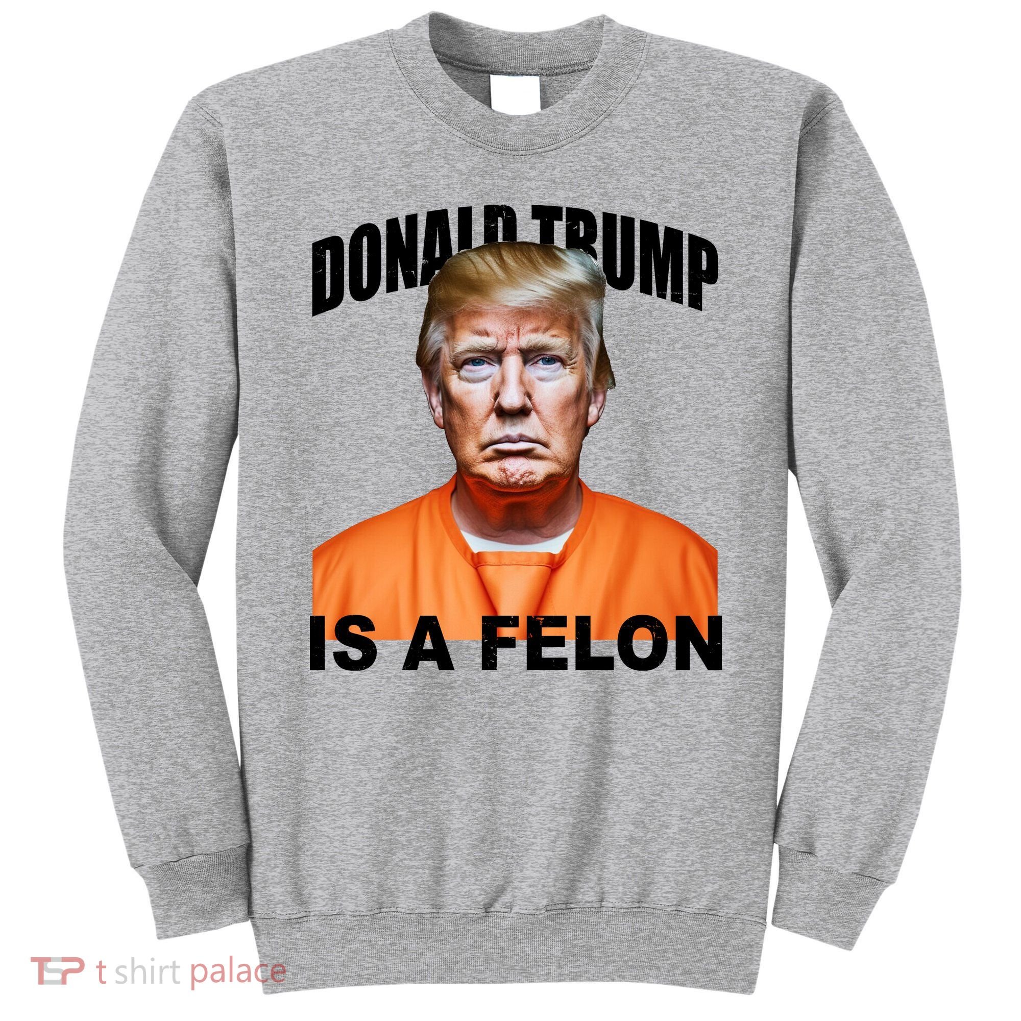 Donald Trump Is A Felon Sweatshirt