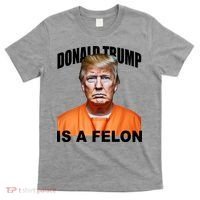 Donald Trump Is A Felon T-Shirt thumb 0