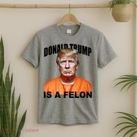 Donald Trump Is A Felon T-Shirt thumb 2