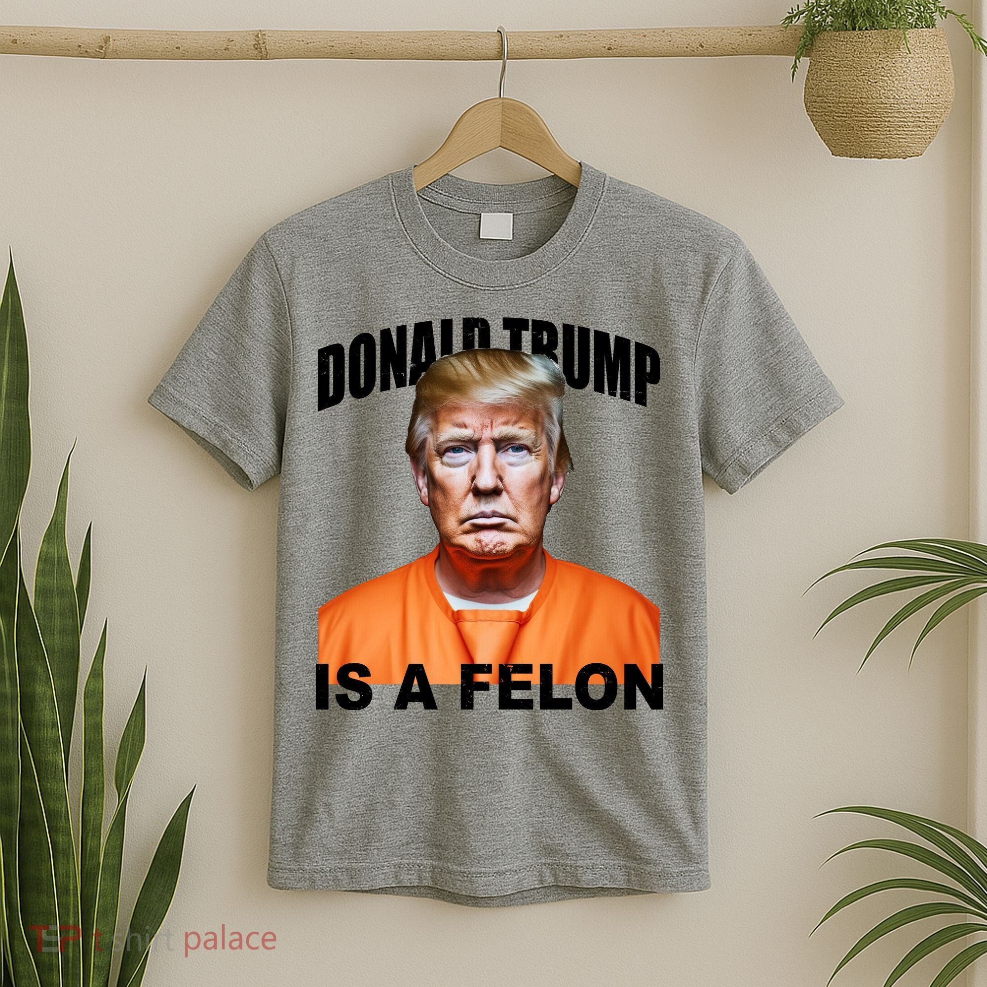 Donald Trump Is A Felon T-Shirt