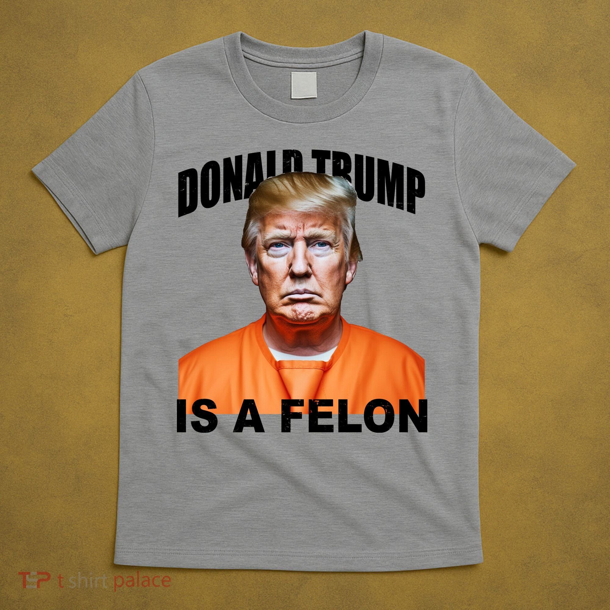 Donald Trump Is A Felon T-Shirt