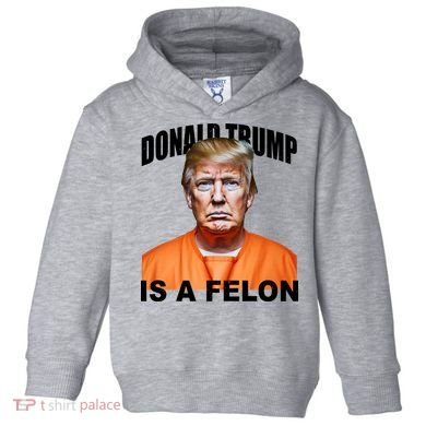 Donald Trump Is A Felon Toddler Hoodie