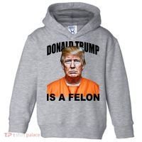 Donald Trump Is A Felon Toddler Hoodie thumb 0