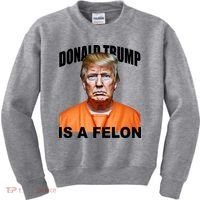 Donald Trump Is A Felon Kids Sweatshirt thumb 0