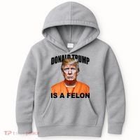 Donald Trump Is A Felon Kids Hoodie thumb 0