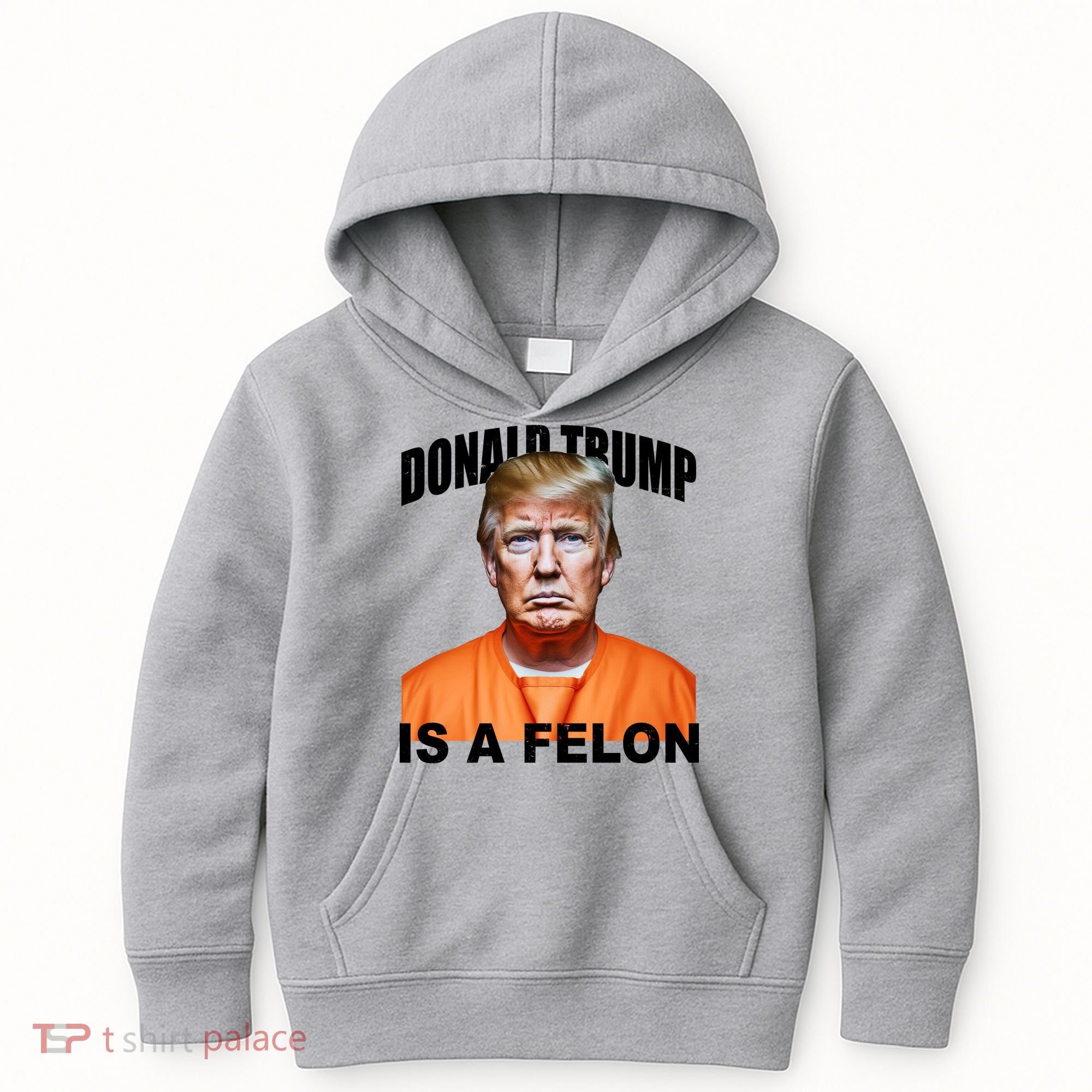 Donald Trump Is A Felon Kids Hoodie