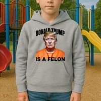 Donald Trump Is A Felon Kids Hoodie thumb 2