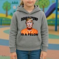 Donald Trump Is A Felon Kids Hoodie thumb 3