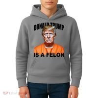 Donald Trump Is A Felon Kids Hoodie thumb 4