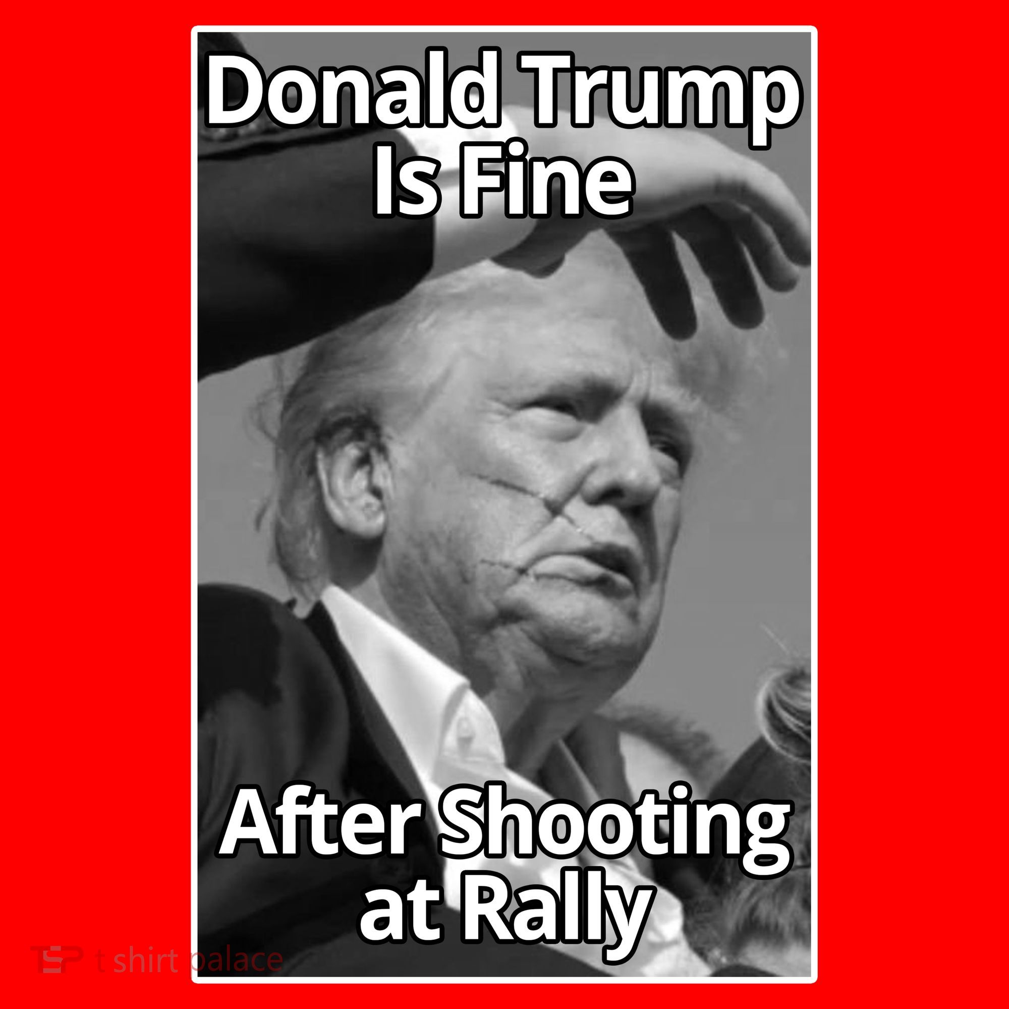 Donald Trump Is Fine After Shooting At Rally Santa Hat