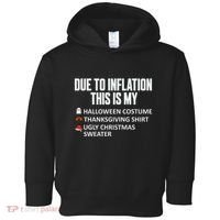 Due To Inflation This Is My Halloween Thanksgiving Christmas Toddler Hoodie thumb 0