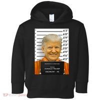 Donald Trump Mugshot Jail Prison Toddler Hoodie thumb 0